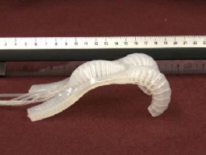 pehmeä robotti flexibot-1322569462509