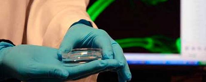 Nuorigeeni voi pidentää ihmisen elämää puolitoista kertaa