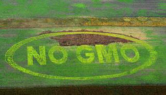 Kasvien geneettiset mutaatiot tappavat ihmiset