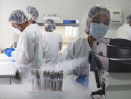 Genetiikka selvisi, kun maassa asuvien kansojen sekoittuminen tapahtui