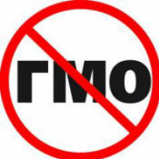 GMO: 3 miljardia ihmistä voi kuolla!