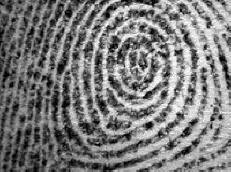 Google ja CIA: n tukkumyyjät  title=