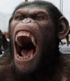 Onko apinan kapina tulossa?