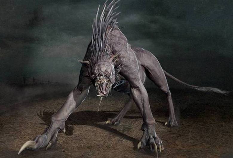 Ja taas - chupacabra. Mistä tämä salaperäinen peto kotoisin on?