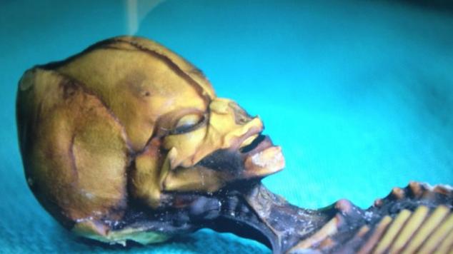 Muukalainen Atacaman autiomaasta