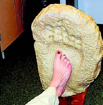 Hiukkasten jähmettynyt jälki Palexi-joen rannikolta (Texas, USA)