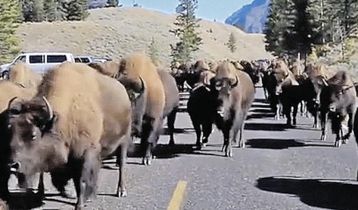 Yellowstone Super-tulivuori valmistaa maata Marsille?