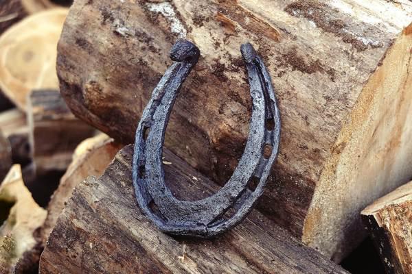 löysi hevosenkengän 