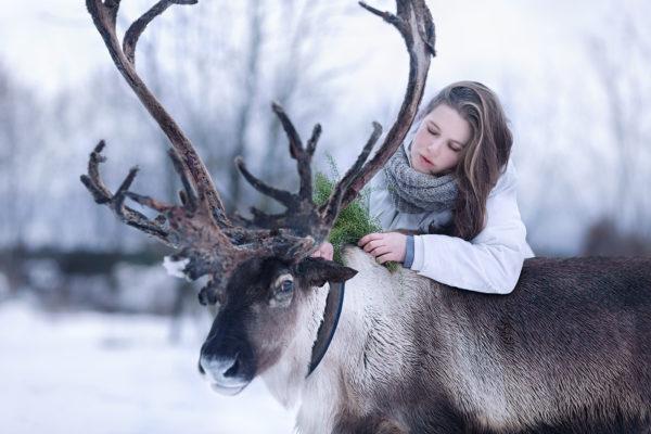 Miksi peura haaveilee 