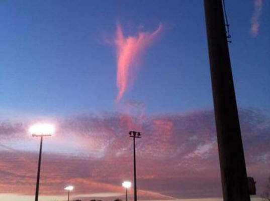 Sosiaaliset verkostot