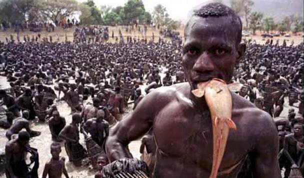 Kuinka helppoa on rauha ja harmonia.