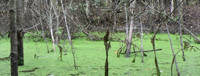 Mitä salaisuuksia piilottavat?