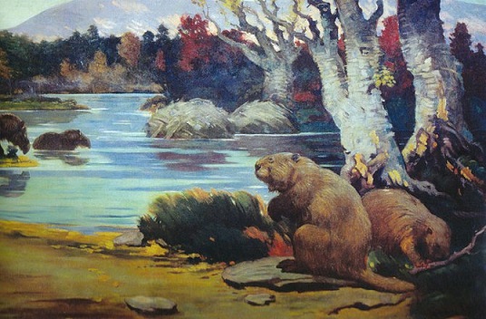 Millainen voisi olla maa ilman ihmisiä?