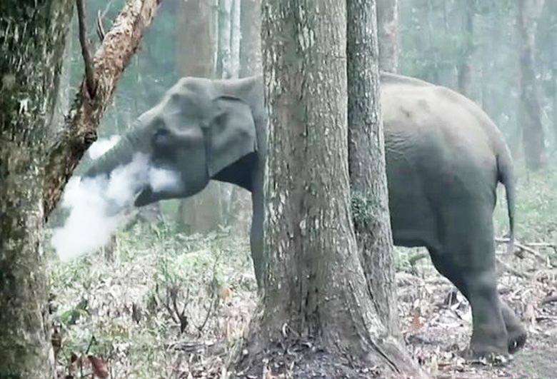 Valvontakamera tarttui linssiin