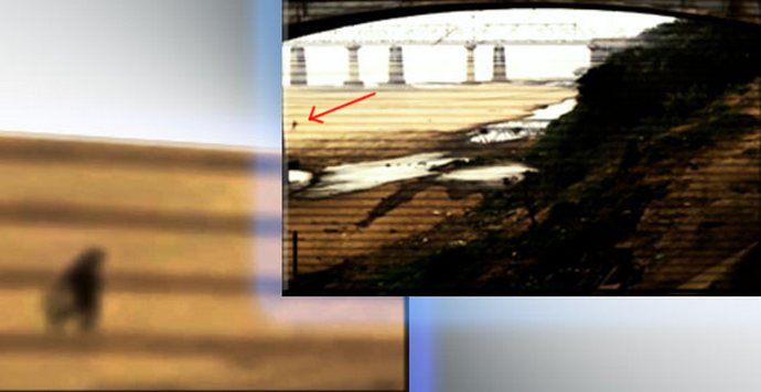 Valvontakamera sai toisen hauskan haamun