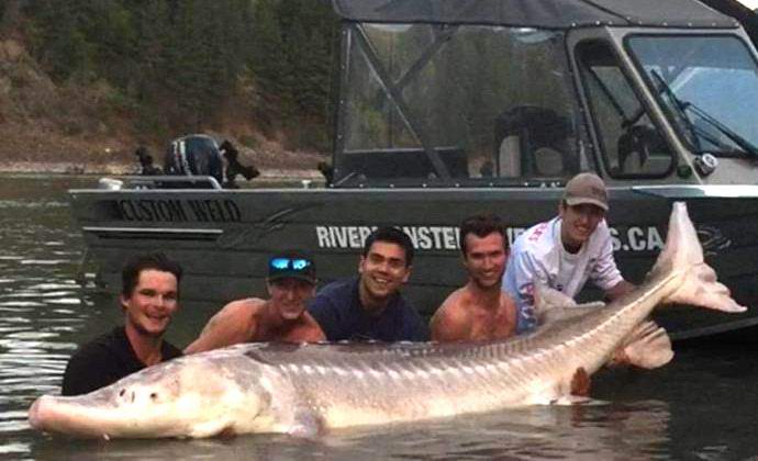 Kanadalaiset kiinni legendaarisesta hirviöturasta