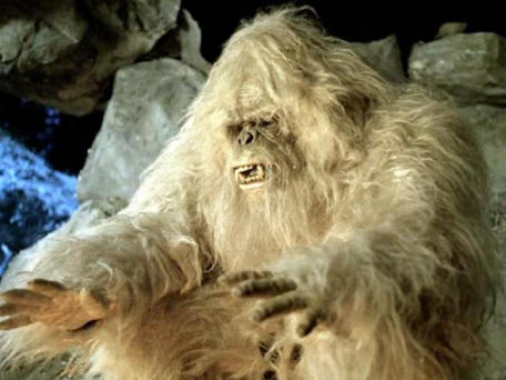Kiinalainen Yeti