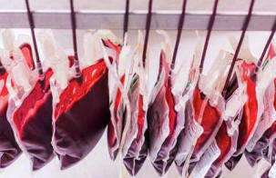 Kiinalaiset vanhemmat parantavat lastensa suorituskykyä verellä