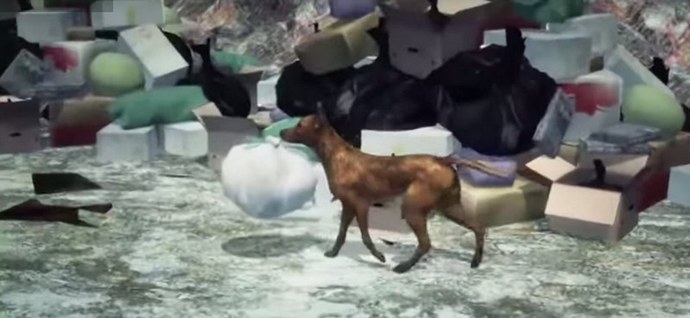 Kun koirat ovat kunnollisempia kuin jotkut äidit