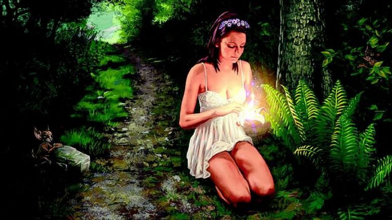 Kun saniainen kukkii