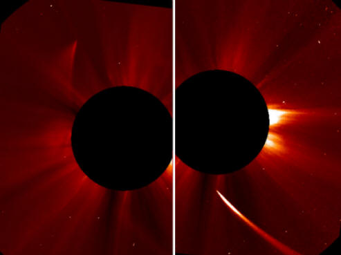ISON Comet Phoenix syntyi tuhkasta