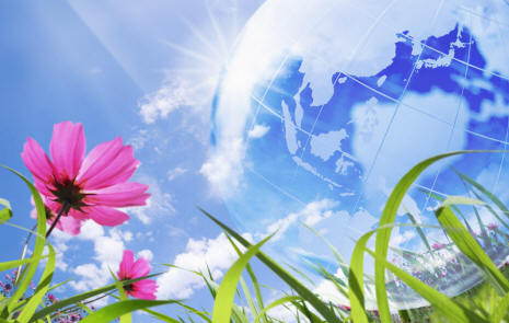 Sisäkasvit voivat ajatella, puhua ja lukea ajatuksiamme.