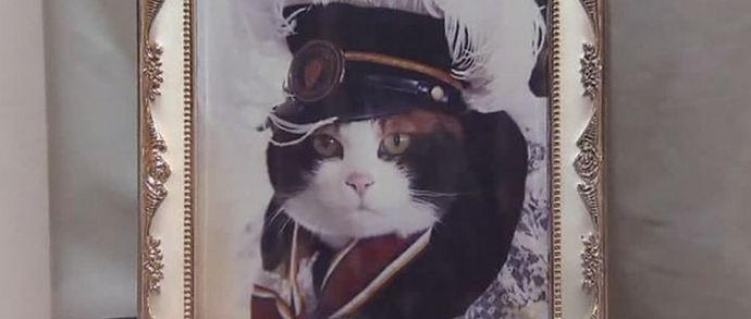 Kissa on kuollut. Elä kissa!