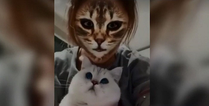 Kissat ovat järkyttyneitä