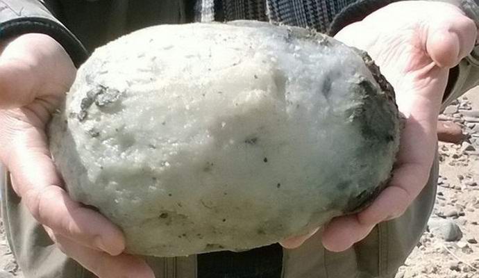 Pala harmaaa meripihkaa teki rikkaasta brittiparista