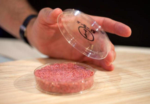 Laboratorioliha: olla vai ollako olla?