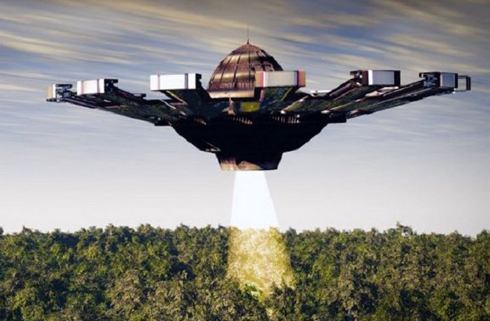 Valonsäde seuraa villieläimiä