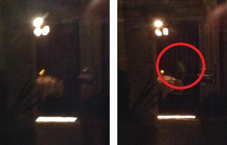 Pikku kummitus valokuvattiin New Orleansissa