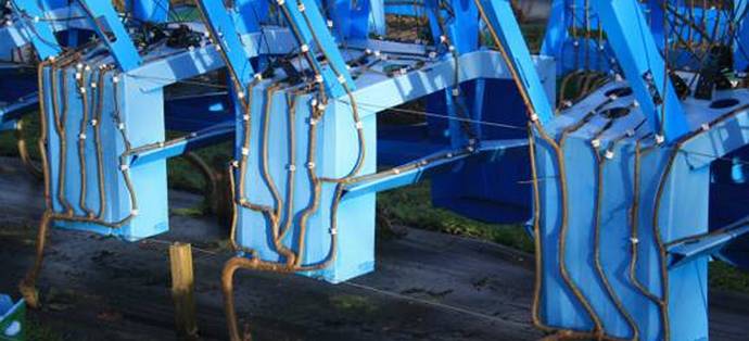 Huonekaluja voidaan tehdä, mutta voit - kasvaa