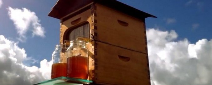 Hunaja, jota ei tarvitse pumputtaa pois