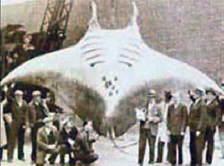 Kosto tuntemattomien tutkijoille