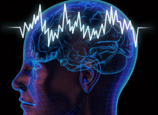 Aivot ja maailmankaikkeus ovat kaksoisveljiä?