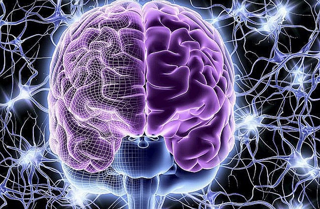 Voiko ihminen ajatella ilman aivoja?