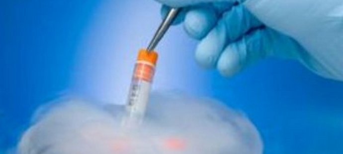 Onko mahdollista luoda keinotekoisesti täydellinen sukupolvi?