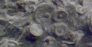 Kamtšatkassa oli ulkomaalaisia