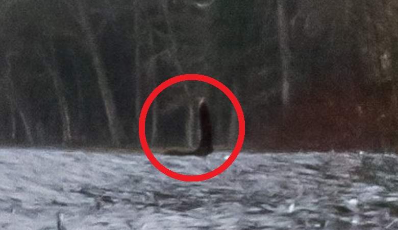 Google löysi panoraamakuva selkeän kuvan Nessiestä