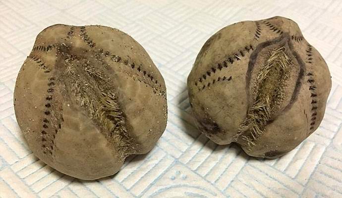 Muukalaisten munia löytyi Englannin rannikolta