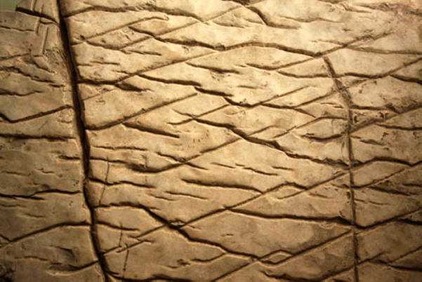 Maapallolla oli monia sivilisaatioita