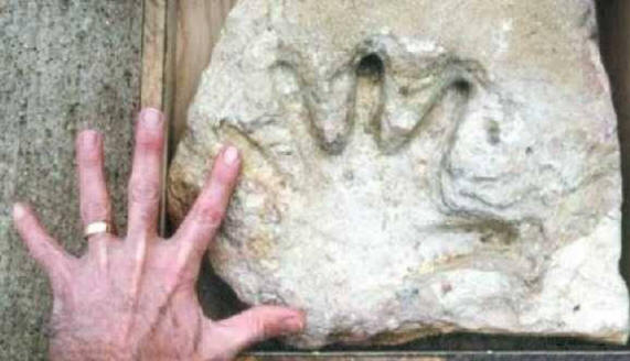 Maapallolla oli monia sivilisaatioita