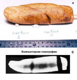 Maapallolla oli monia sivilisaatioita