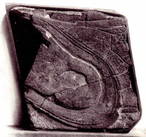 Maapallolla oli monia sivilisaatioita