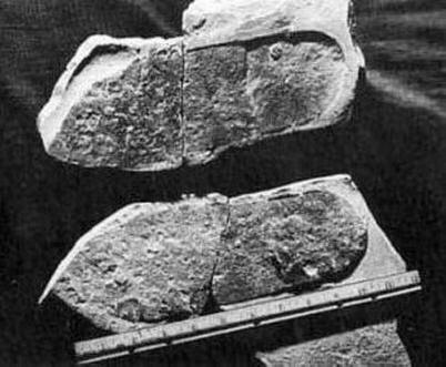 Maapallolla oli monia sivilisaatioita