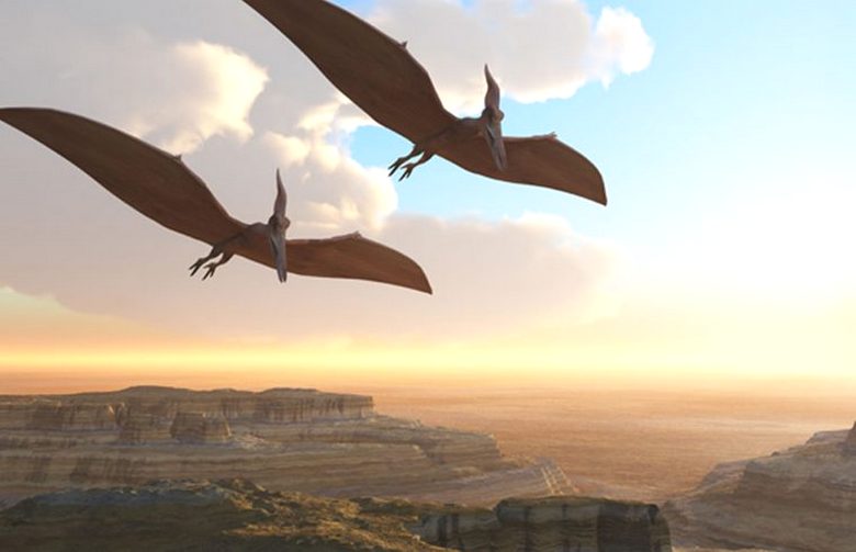 Pterodaktyylien havainnot kuuluisan Roswellin lähellä