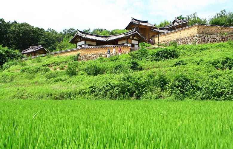 Enkelin kaltainen olento kuvattiin Etelä-Korean yli