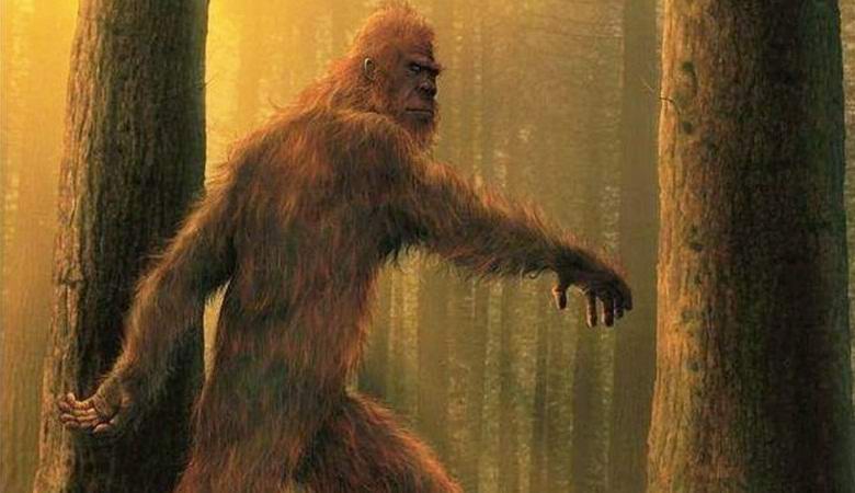 Löytyi Yeti äskettäin jättäneen kappaleita Texasista