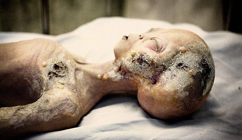 Legendaarisen ulkomaalaisen ruumiinavausvideon löydetty ohjaaja